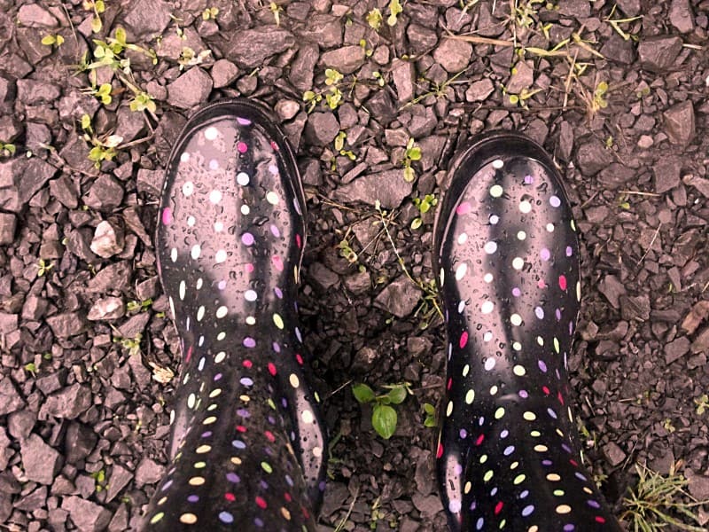 Rain Boots - After the Rain