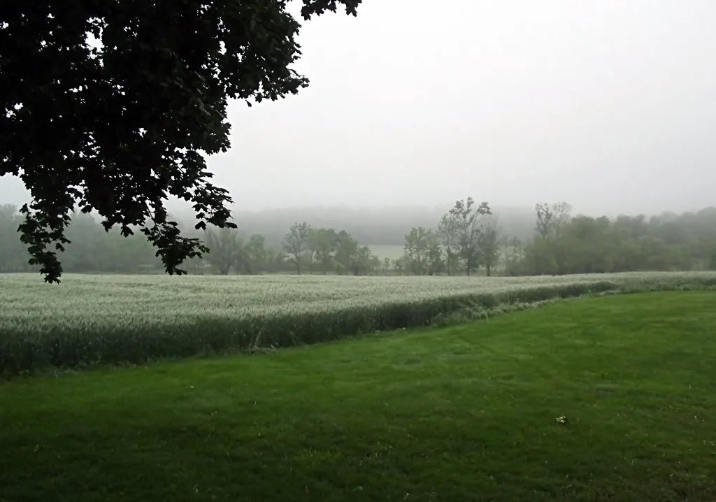 Fog after the rain- Home in the Finger Lakes