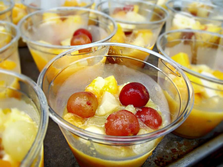 Frozen Fruit Cups -Home in the Finger Lakes