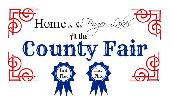 County Fair 2013