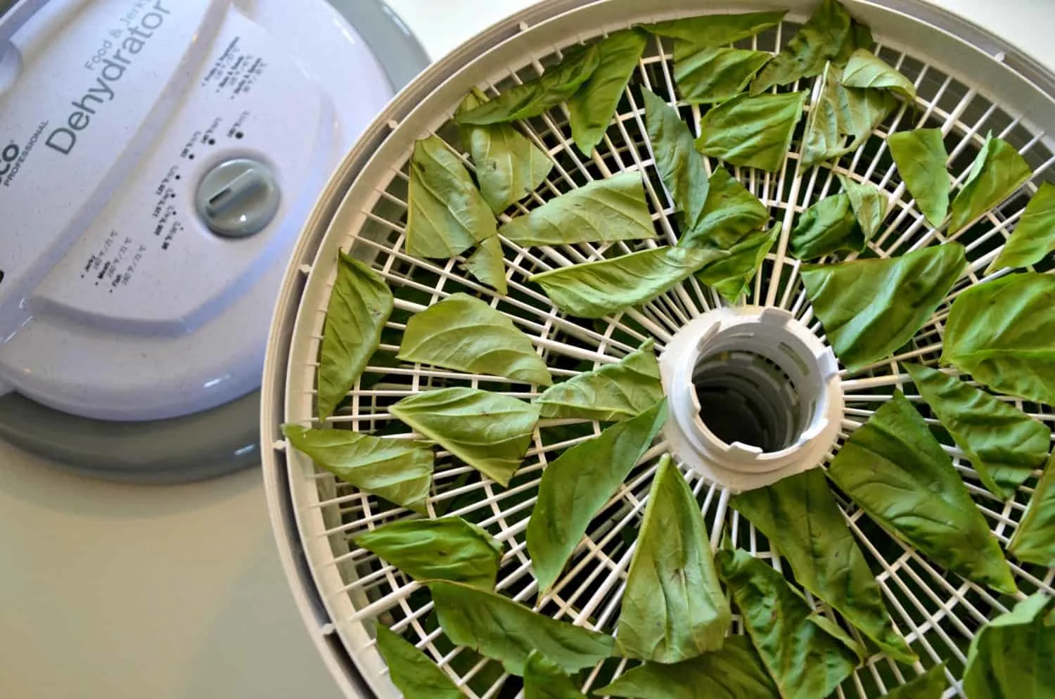 Dry! Dry! Dry! Fabulous Dehydrator Recipes and Tips. - Picklebums