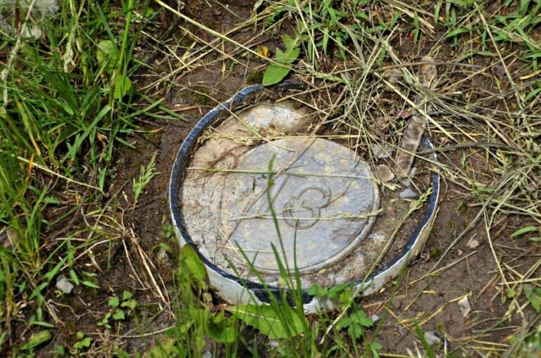 Unsealing New York’s Past: A Call for Transparency