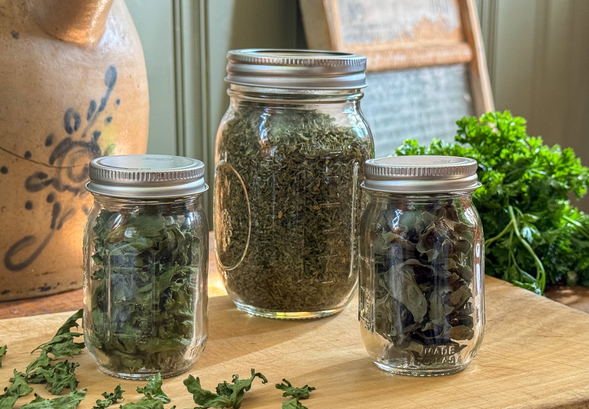 How To Dry Parsley in a Dehydrator