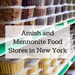 Amish and Mennonite Food Stores in New York