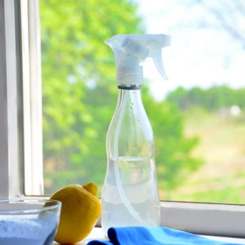 All-Natural Glass Cleaner