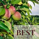 The Best Upstate New York Apples For Baking