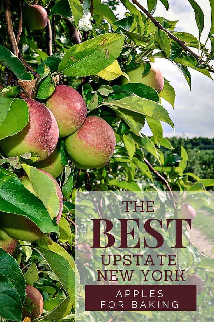 The Best Upstate New York Apples For Baking