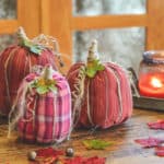 No Sew Shirt Sleeve Pumpkins