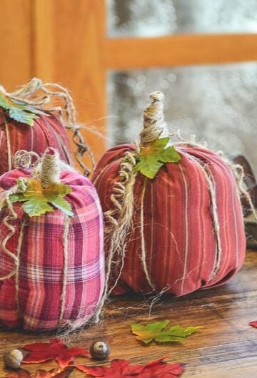 No Sew Shirt Sleeve Pumpkins