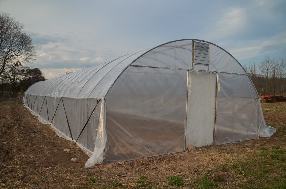 Covering the hoop house with new plastic (Spring 2017) Home in the