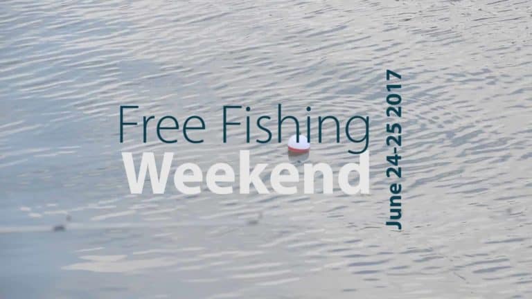 Free Fishing Weekend in New York State
