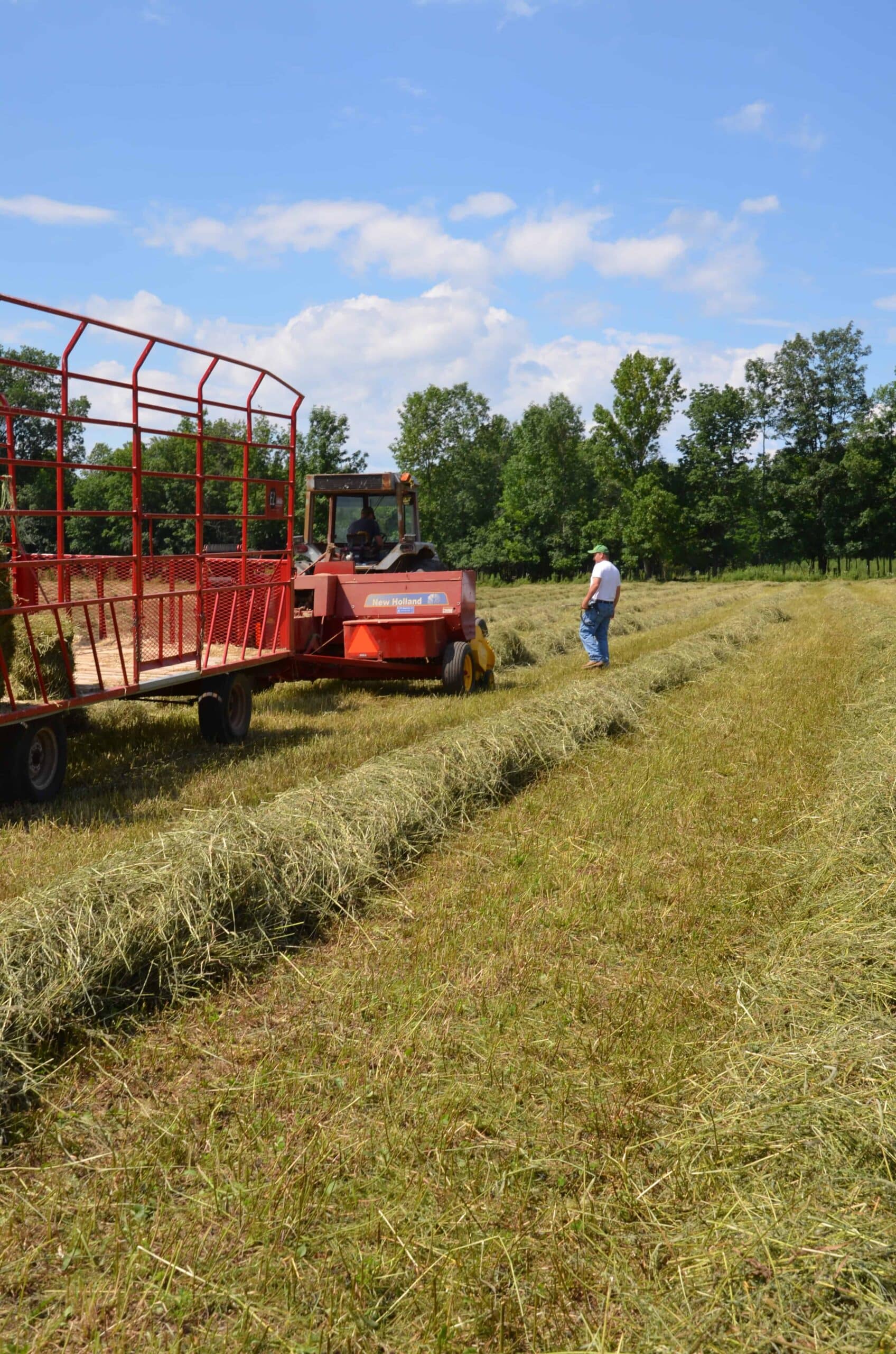 Hay Day on the Farm