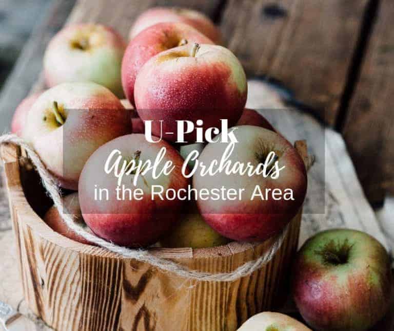 U-Pick Apple Orchards in the Rochester Area