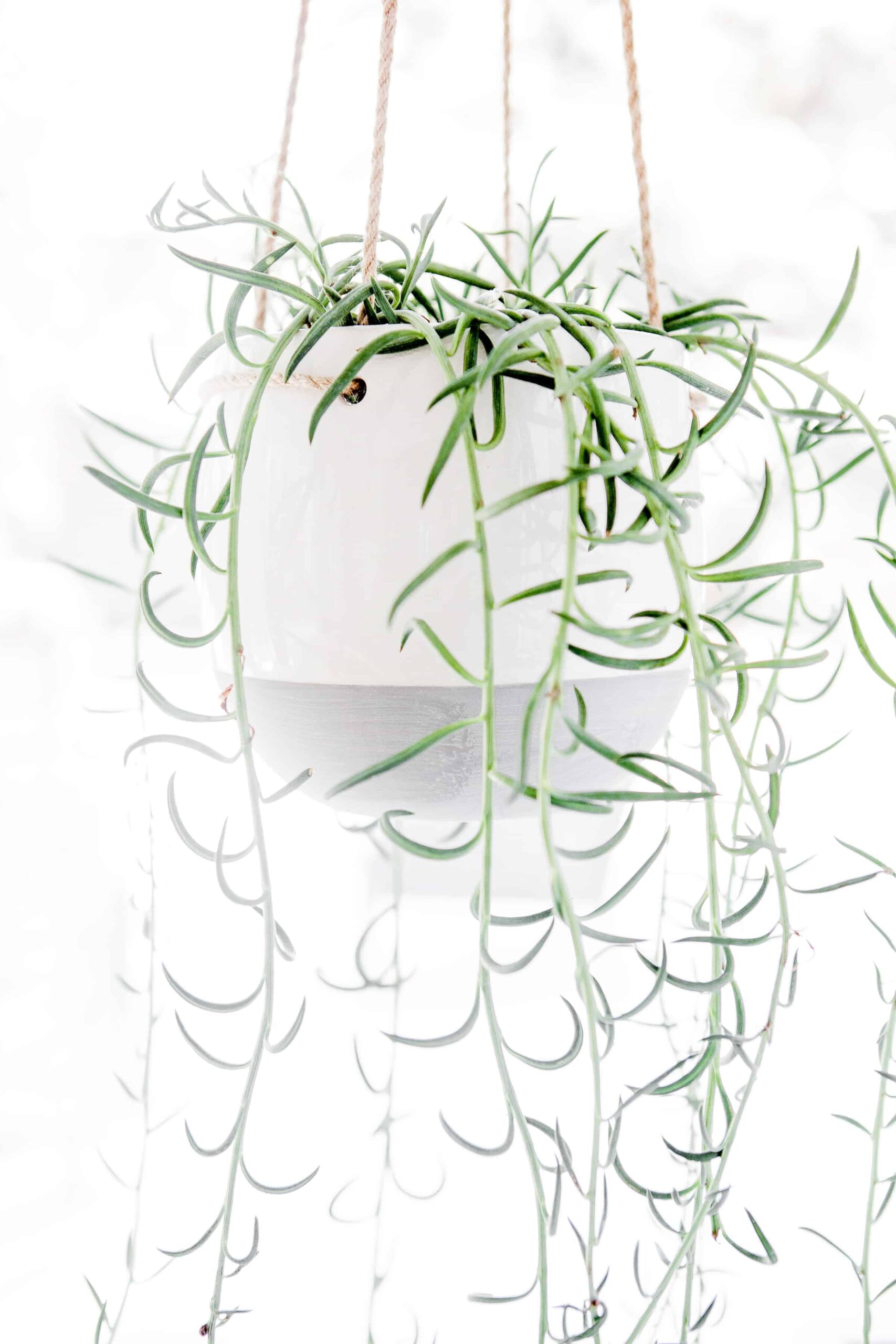 Squeezing in Home Updates When You Are Busy