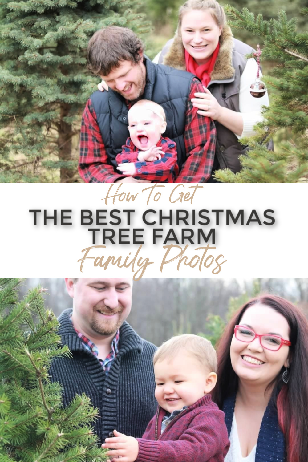 How to Get the Best Christmas Tree Farm Family Photos This Year Home