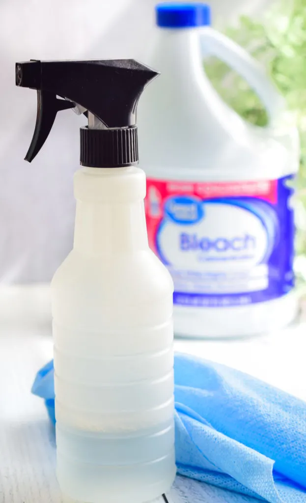 plastic spray bottle with a jug of bleach slightly out of focus in the background.