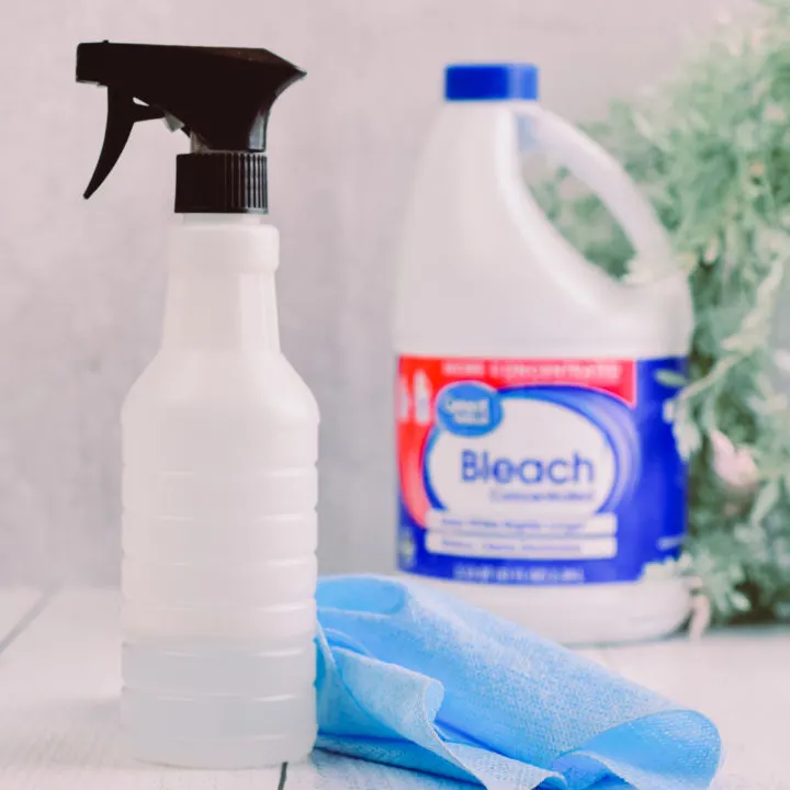 Homemade Disinfectant Spray with Bleach