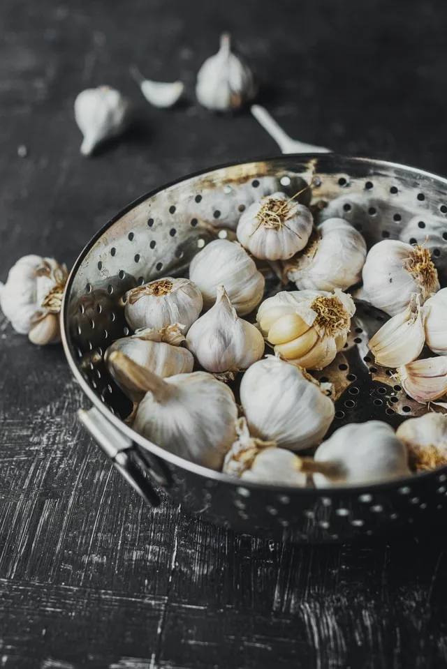 A colander full of small white garlic bulbs on a grey wooden table.