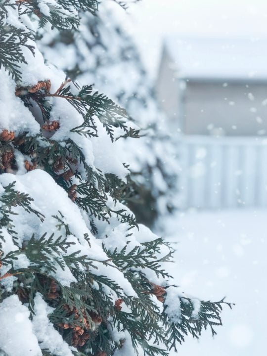 Things To Do Before Snowy Weather