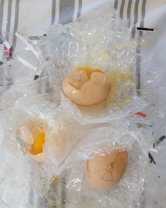3 broken fertile eggs with yolks and whites oozing out of the cracked shells sitting on bubble wrap after being removed from shipping package. 