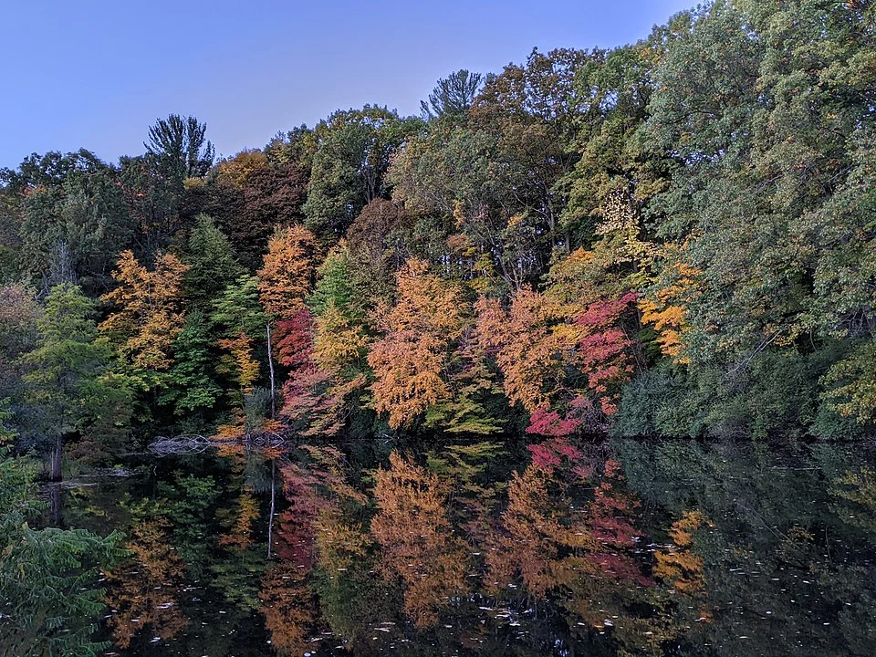 Fall foliage at Pat Lake, Durand Eastman Park