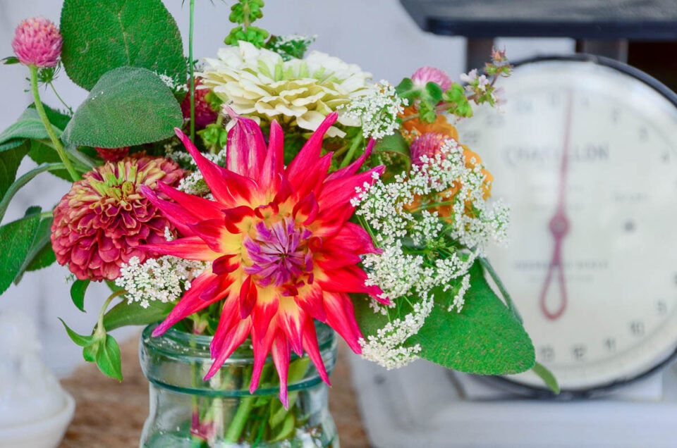 The 5 Best Books For Beginning Flower Farmers Home in the Finger Lakes