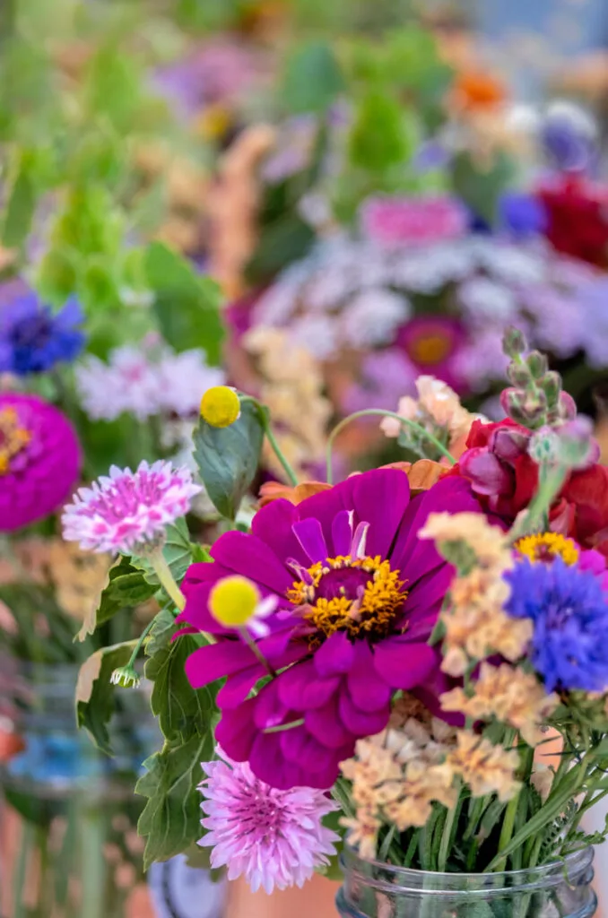 FLX Flower Preservation