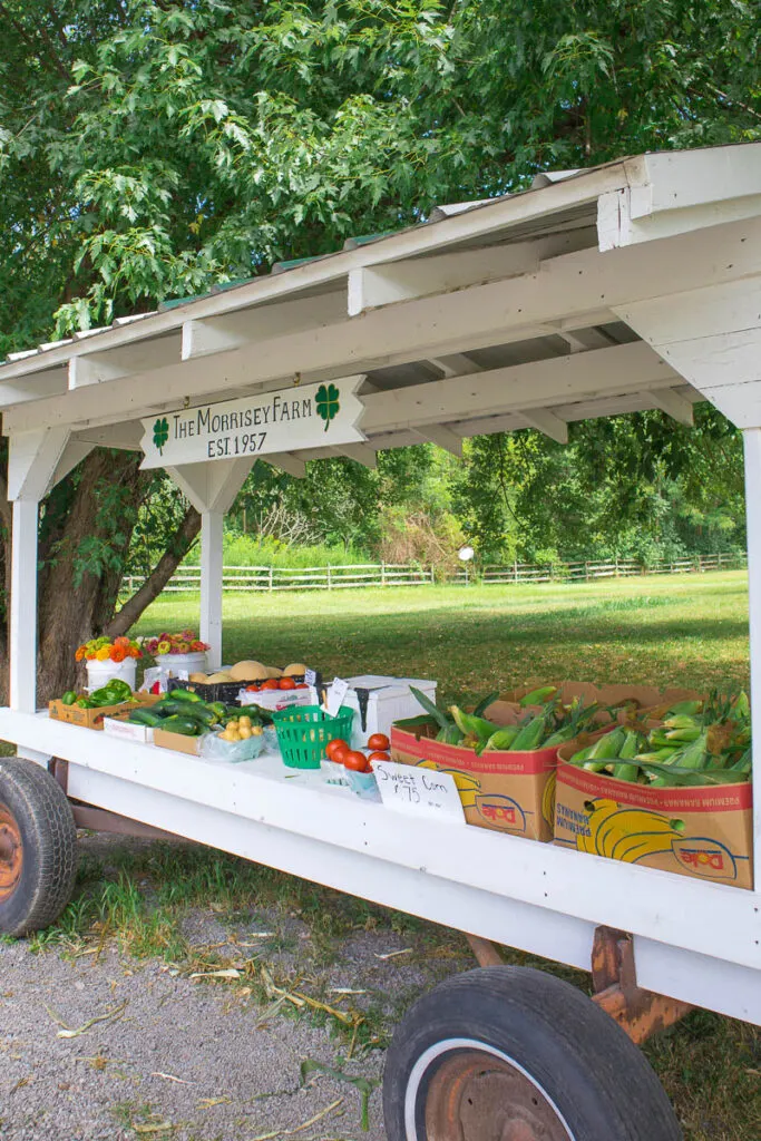 A white roadside farm stand with and awning. On the stand for sale are ears of sweet corn, tomatoes, potatoes, zucchini, melons, fresh cut flowers, peppers and eggs. 