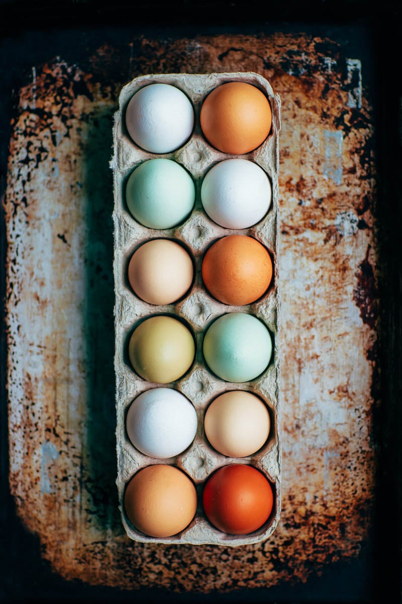 6 Exciting New Colored Egg Layers To Add To Your Flock in 2023