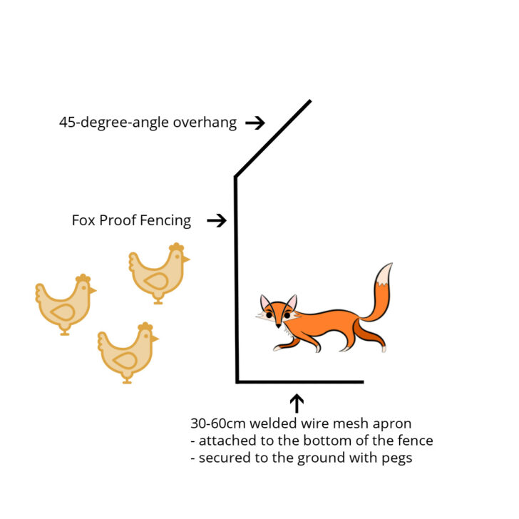 Fending off Foxes: A Guide to Keeping Your Backyard Chickens Safe