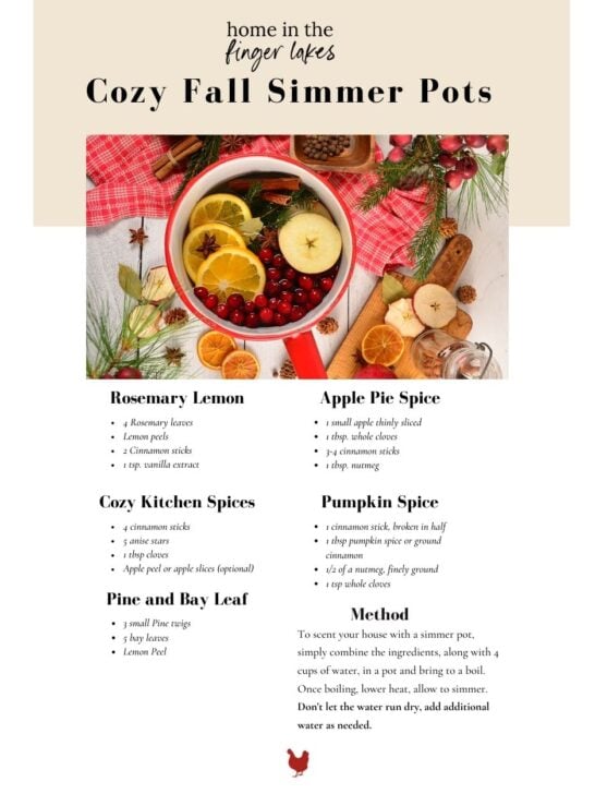 Easy Fall Simmer Pot Recipe to Make Your Home Smell Amazing