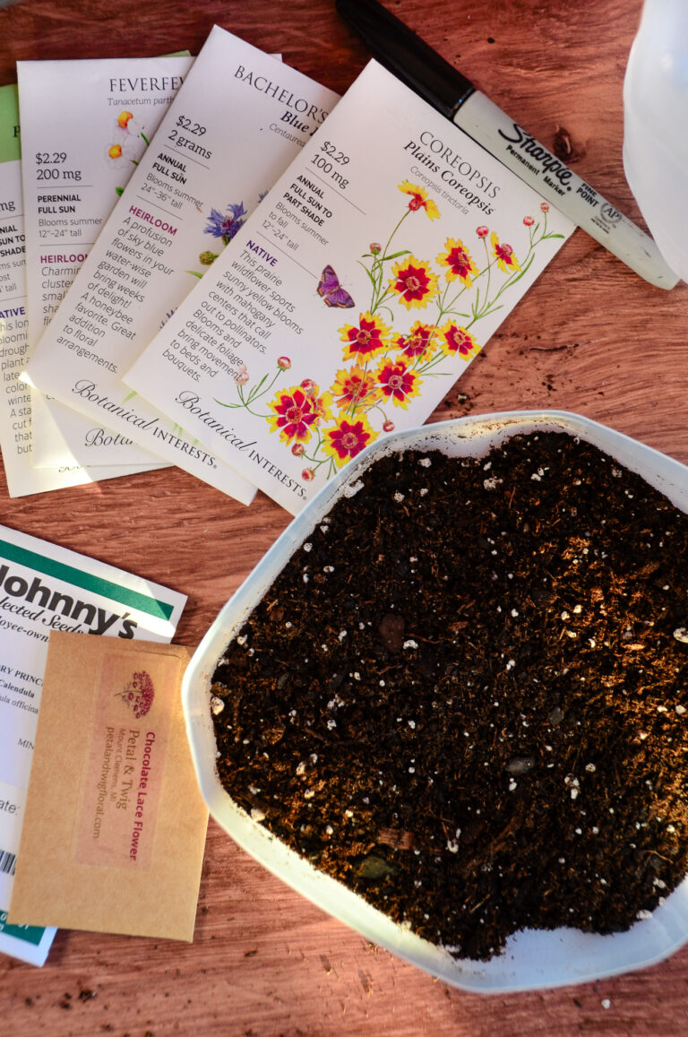 Get a Head Start on Spring with Winter Sowing