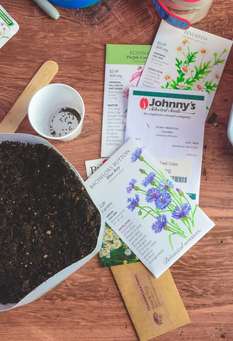 Selecting Seeds For Winter Sowing