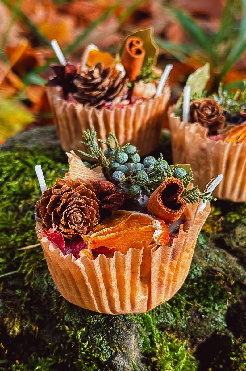 Hearth & Harvest Soy Wax Fire Starters