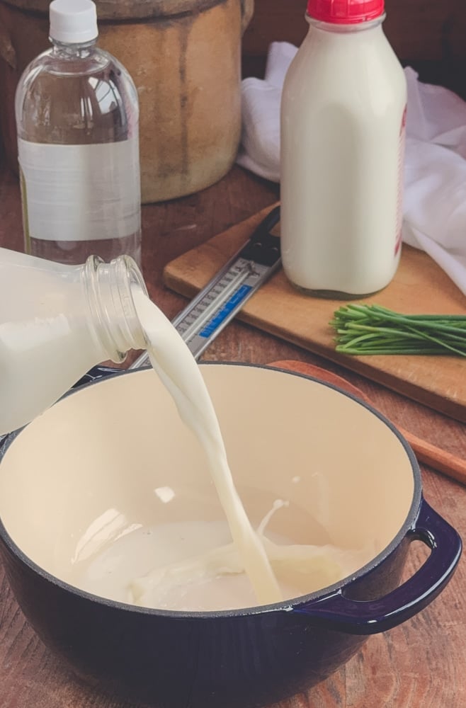 Pouring whole milk from a glass bottle into a dark blue Dutch oven to begin making homemade herbed farmers cheese