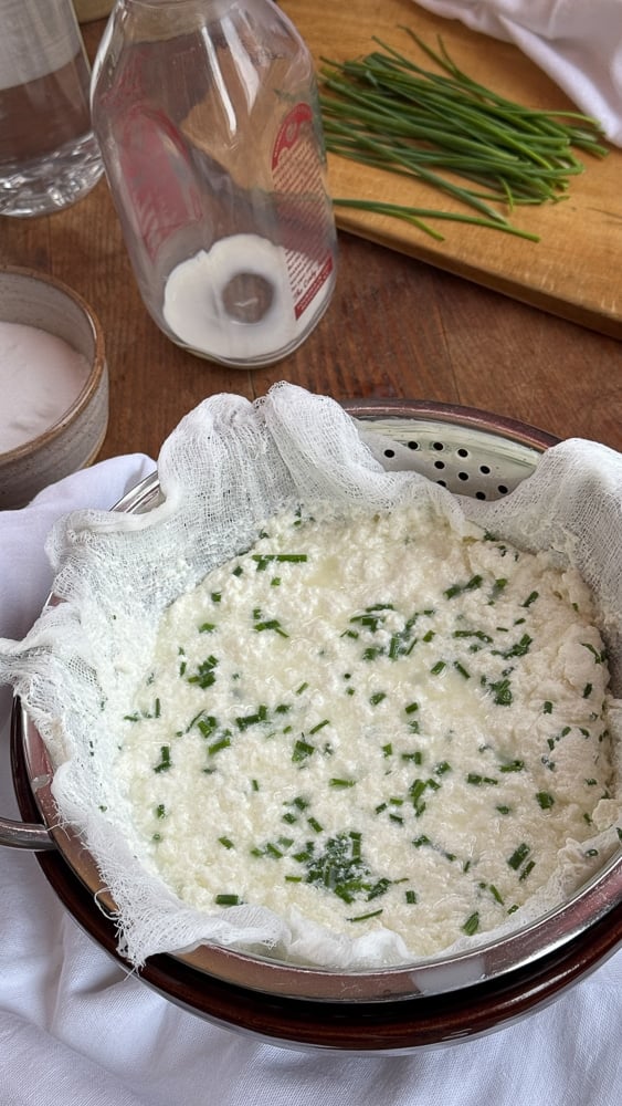 Fresh white cheese curds mixed with chopped chives draining in a cheesecloth-lined colander