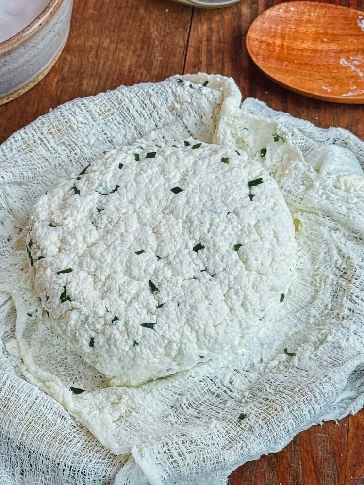 A round wheel of homemade herbed farmers cheese with chives, wrapped in cheesecloth on a wooden surface